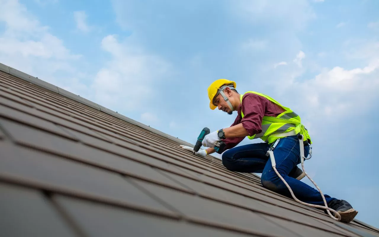 Roof maintenance tips.